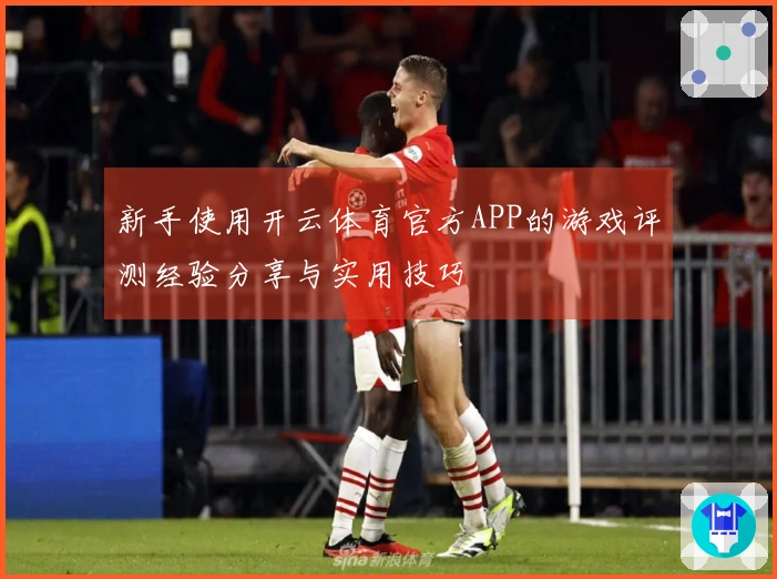 新手使用开云体育官方APP的游戏评测经验分享与实用技巧